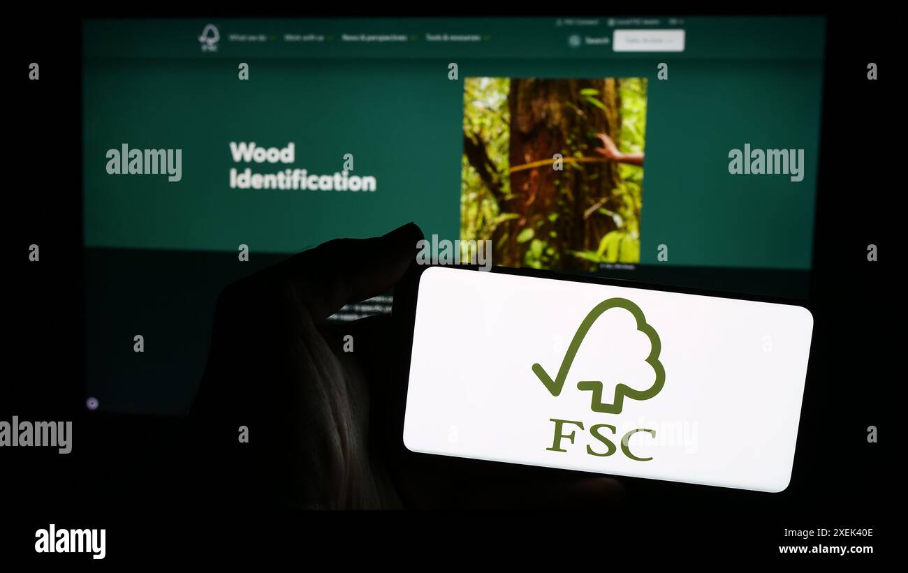 Person, die ein mobiles Pohone mit dem Logo der Organisation Forest Stewardship Council GmbH (FSC) vor der Webseite hält. Schwerpunkt auf dem Display des Telefons. Stockfoto