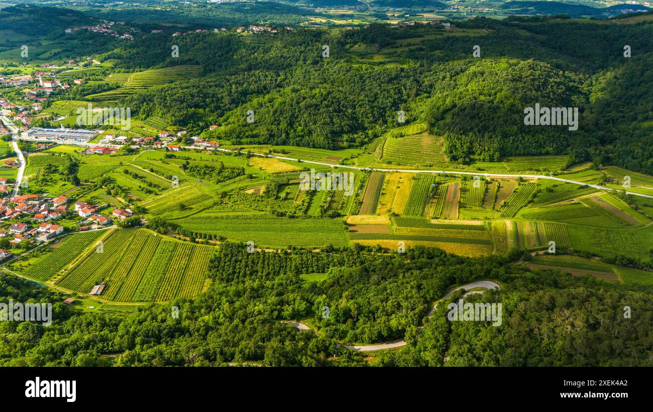 Landschaftlich reizvolle Luftaufnahme von Rolling Vineyards im Vipava-Tal, Slowenien Stockfoto