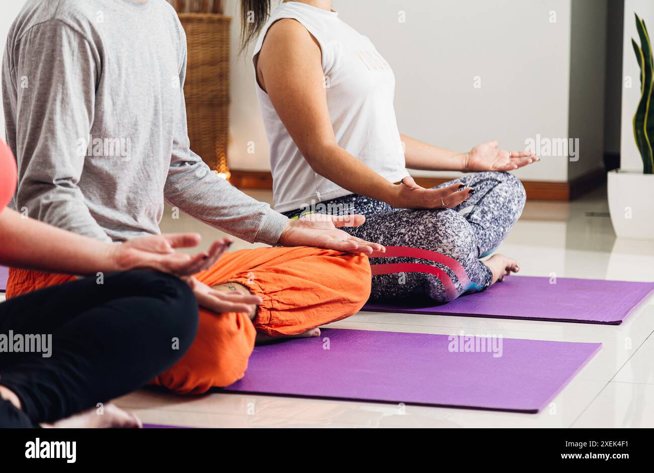 Yogi-Leute üben Yoga-Unterricht. Atmung und Meditation in Lotus-Pose in der Gruppe. Nahaufnahme der Hände. Wohlbefinden, Wellness-Konzept. Indoor-Workout Stockfoto