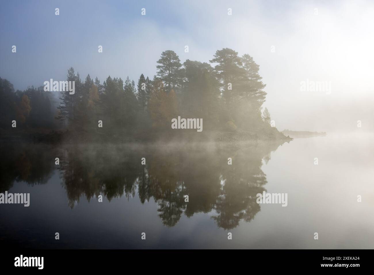 Am frühen Morgen Nebel, Loch Beinn a' Mheadhoinm, Glen Affric bei Cannich, Highlands Schottland. Drohnenaufnahme Stockfoto