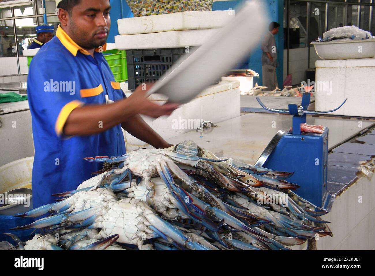 Fischmarkt. Jeddah. Saudi-Arabien. Stockfoto