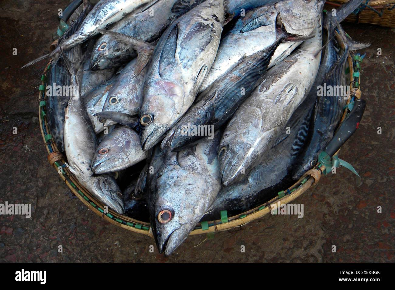 Fischmarkt. Chittagong. Bangladesch. Stockfoto