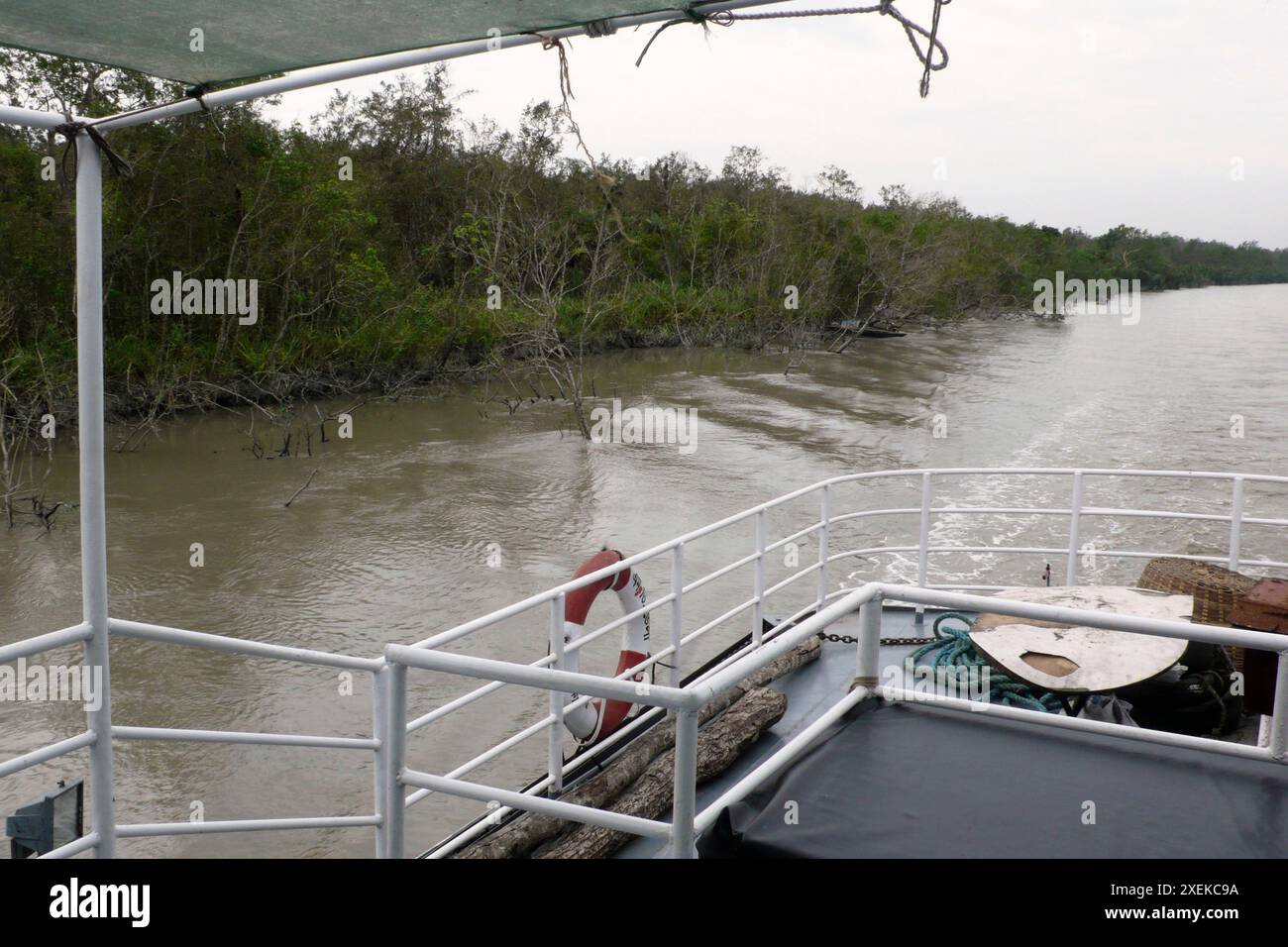 Bangladesch. Sundarbans Nationalpark. Stockfoto