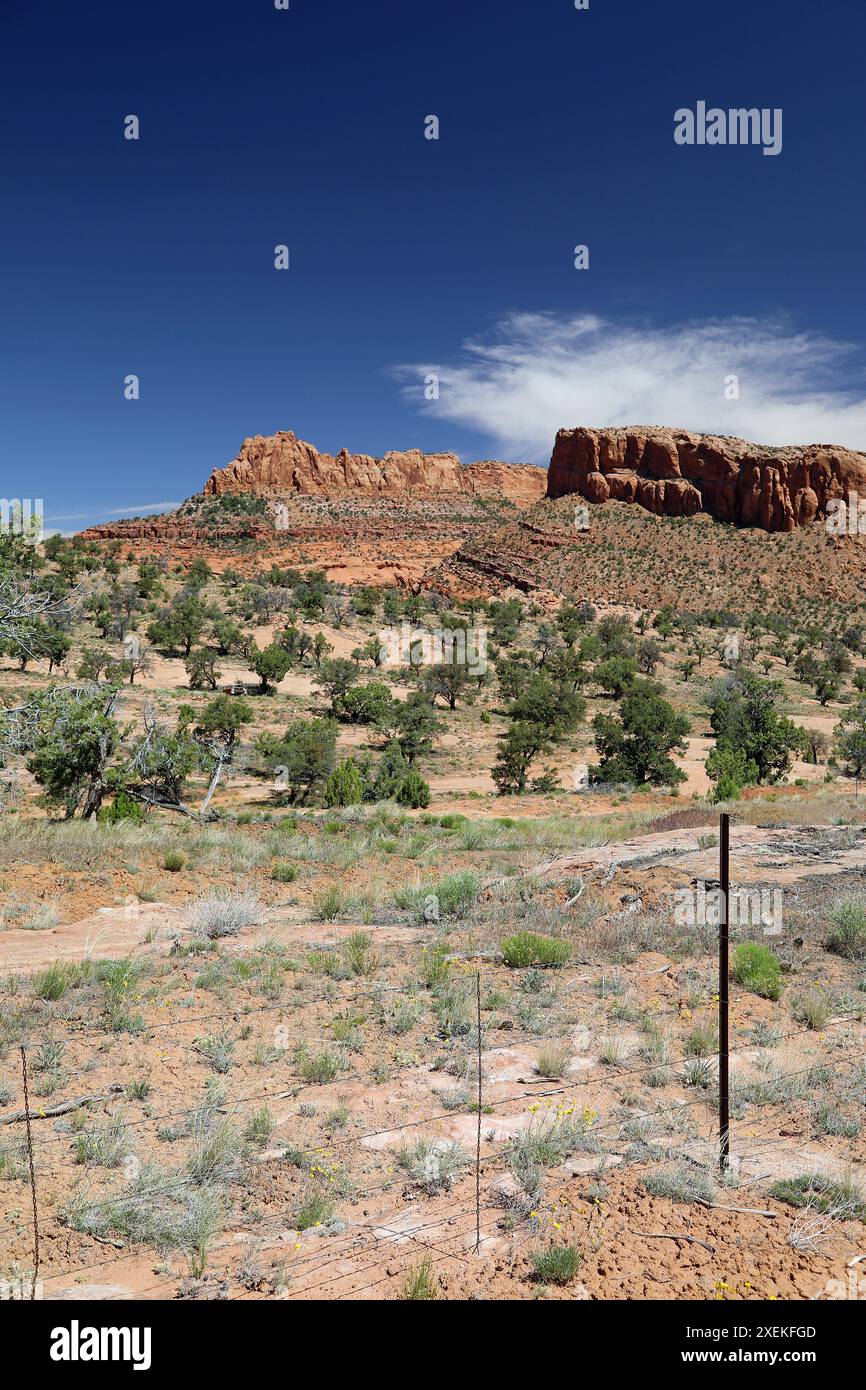 Canyons and Mountains, Utah, USA Stockfoto