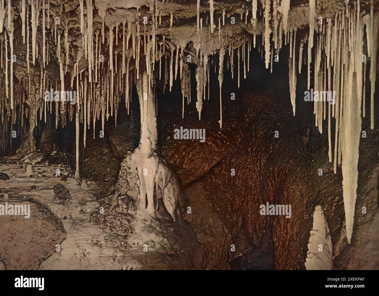 Aladdin's Höhle, Yarrangobilly, New South Wales, Australien, 1890, historische, digital restaurierte Reproduktion nach einem Original aus dem 19. Jahrhundert / Aladdin's Cave, Yarrangobilly, New South Wales, Australien, 1890, historische, digital restaurierte Reproduktion eines Originals aus dem 19. Jahrhundert Stockfoto