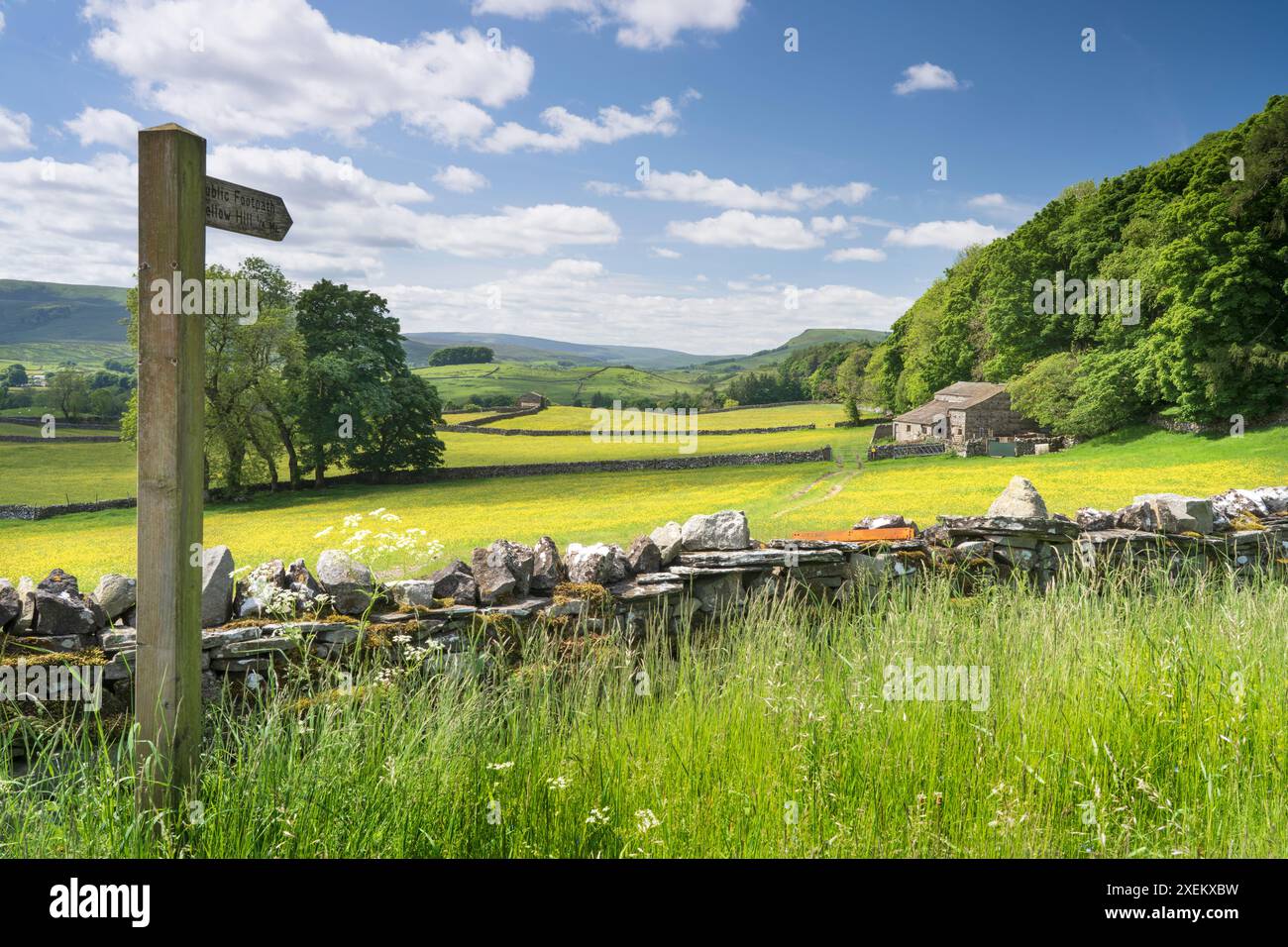 Wild Flower Wiadows in Upper Wensleydale, North Yorkshire, UK Stockfoto