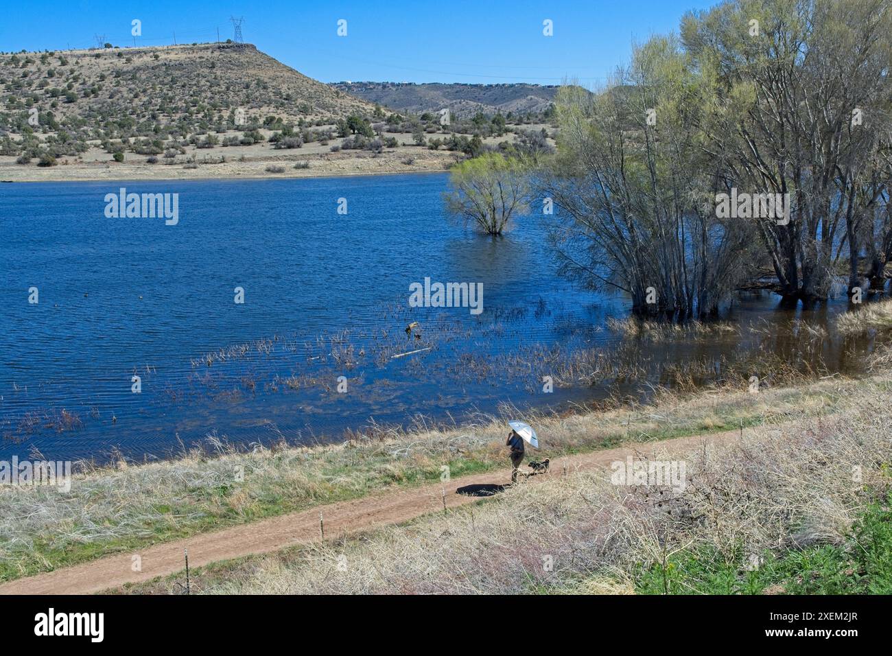 Frau unter Schirm, Wanderhund auf dem Fußweg um den Watson Lake außerhalb von Prescott Arizona Stockfoto