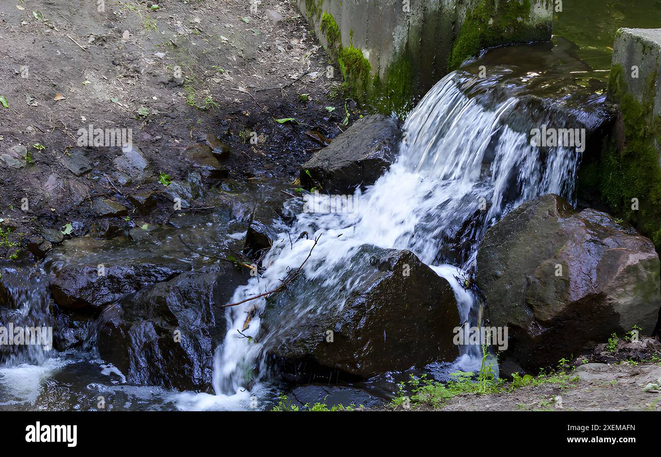 Kleine Wasserfälle an einem Bach in einem europäischen Park Stockfoto