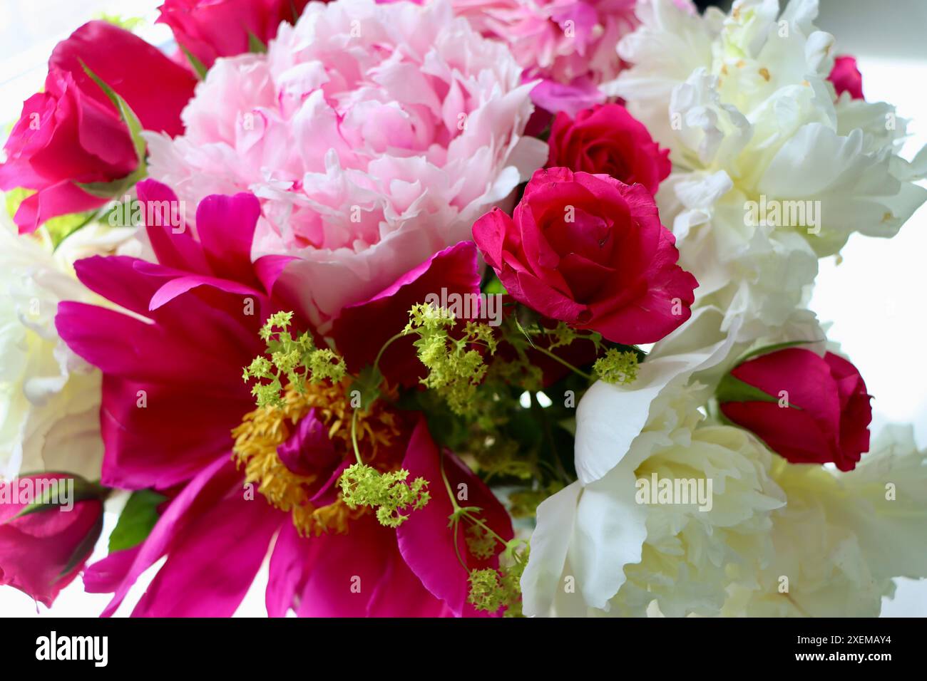 Rosen mit weißen und rosa Pfingstrosen im Sommerstrauß. Stockfoto