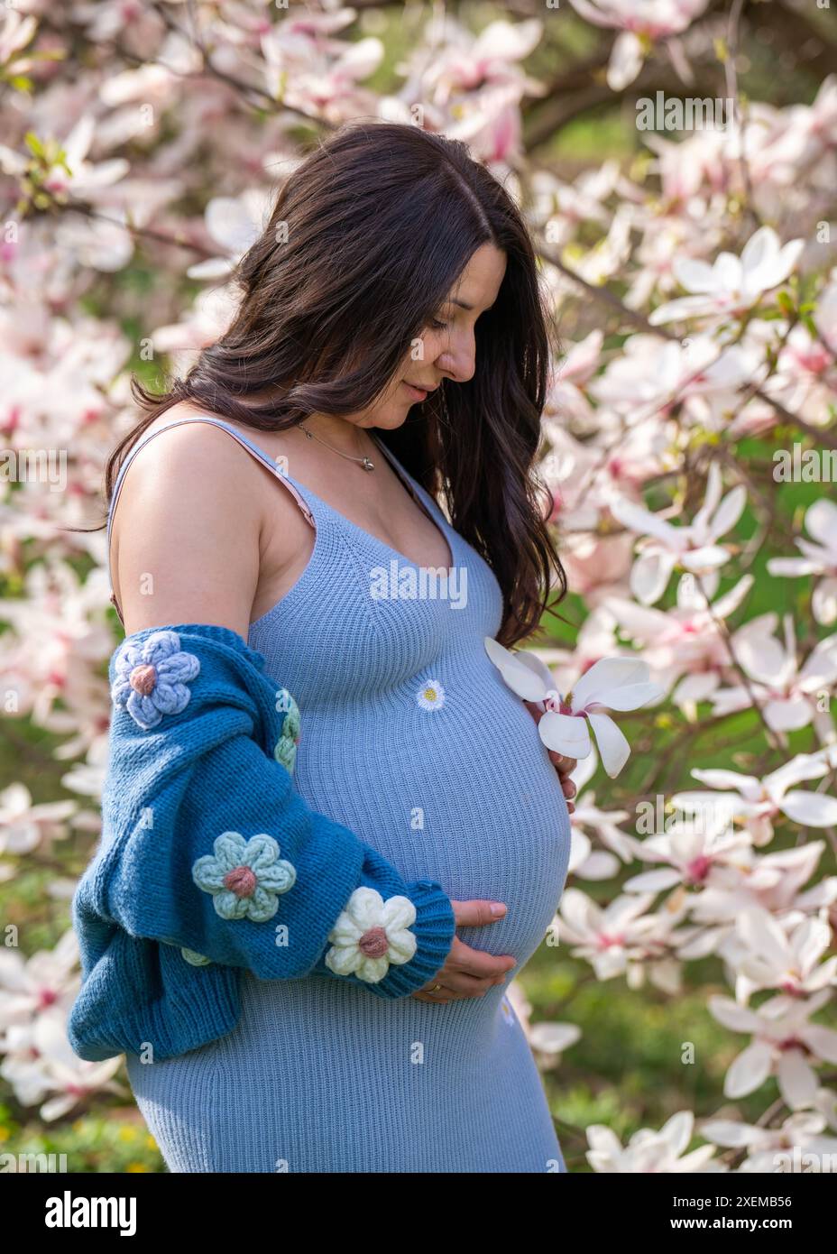 Porträt einer niedlichen schwangeren Frau im Park, gekleidet in einem blauen Kleid zwischen Magnoli-Blumen. Die werdende Mutter schaut zärtlich auf ihre schwangere Glocke Stockfoto