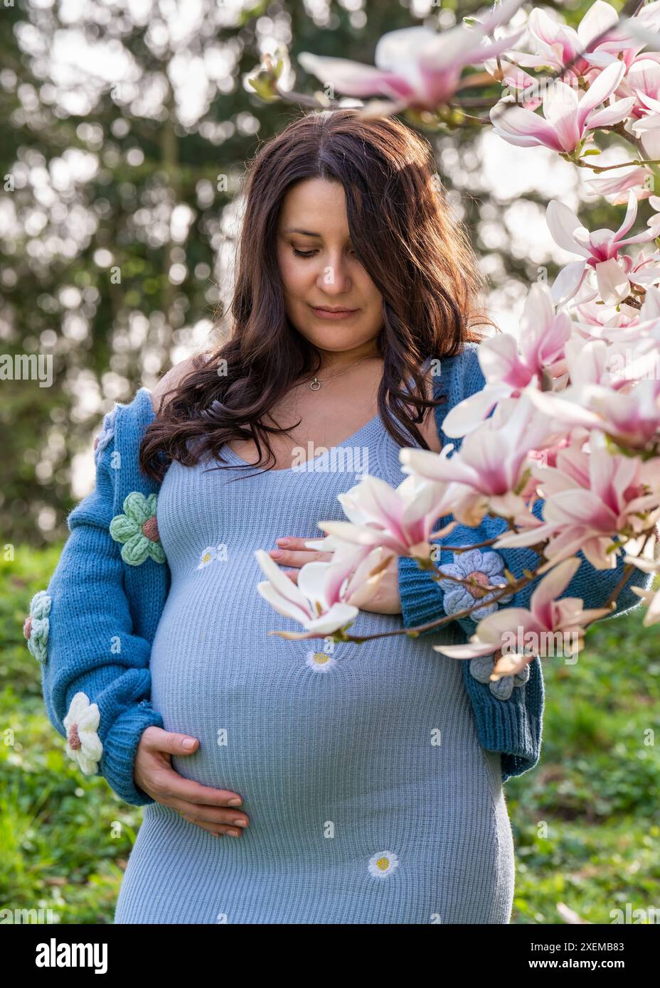 Porträt einer niedlichen schwangeren Frau im Park, gekleidet in einem blauen Kleid zwischen Magnoli-Blumen. Die werdende Mutter schaut zärtlich auf ihre schwangere Glocke Stockfoto