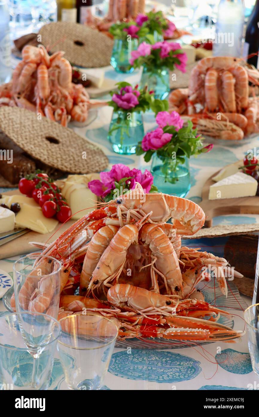 Gekochte Langusten, Nephrops norvegicus, auch Kaisergranat genannt (havskräfta auf Schwedisch), verzehrfertig auf dem Esstisch in Schweden. Stockfoto