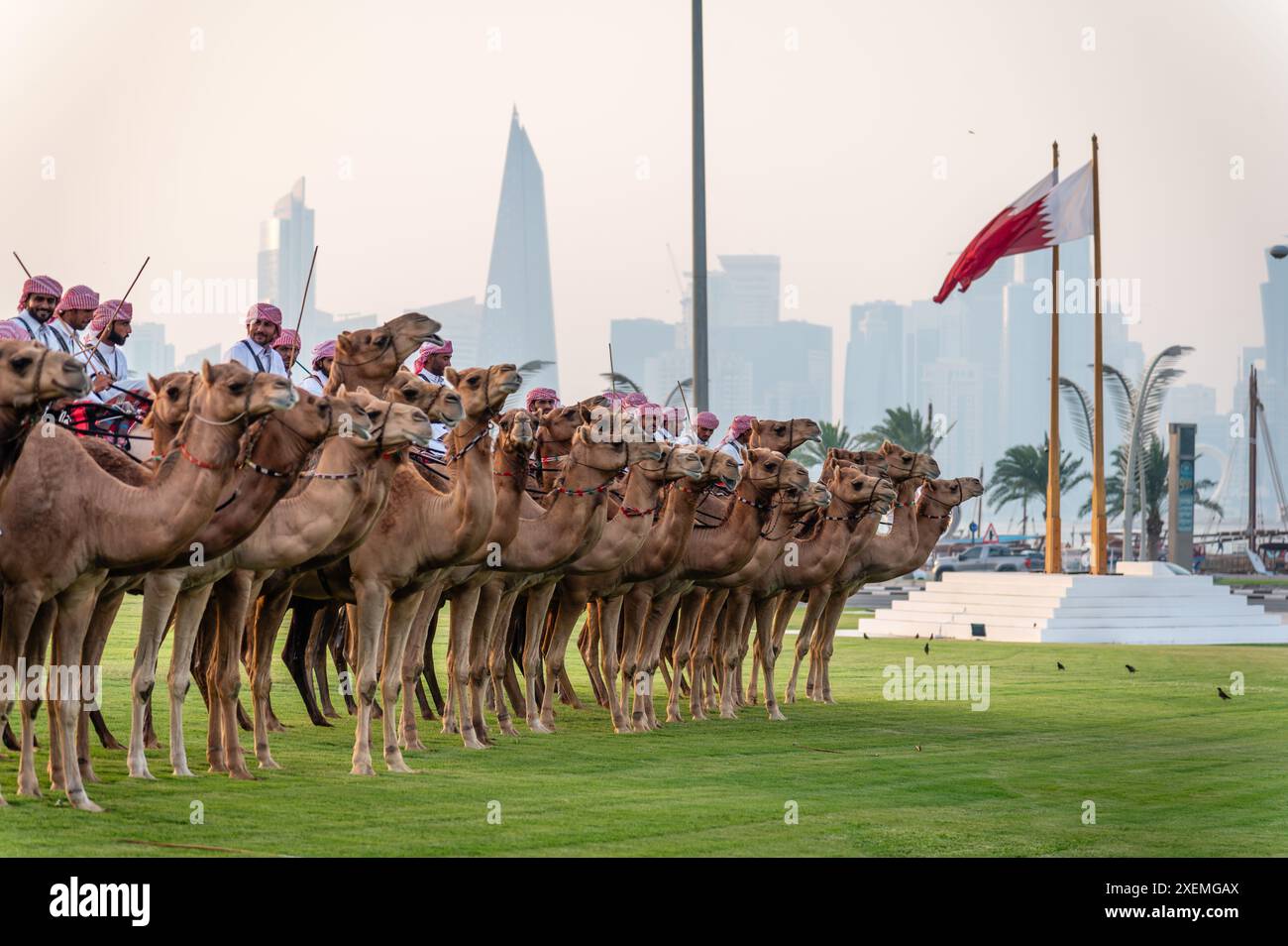 Soldaten auf Kamelen in Doha, Katar Stockfoto