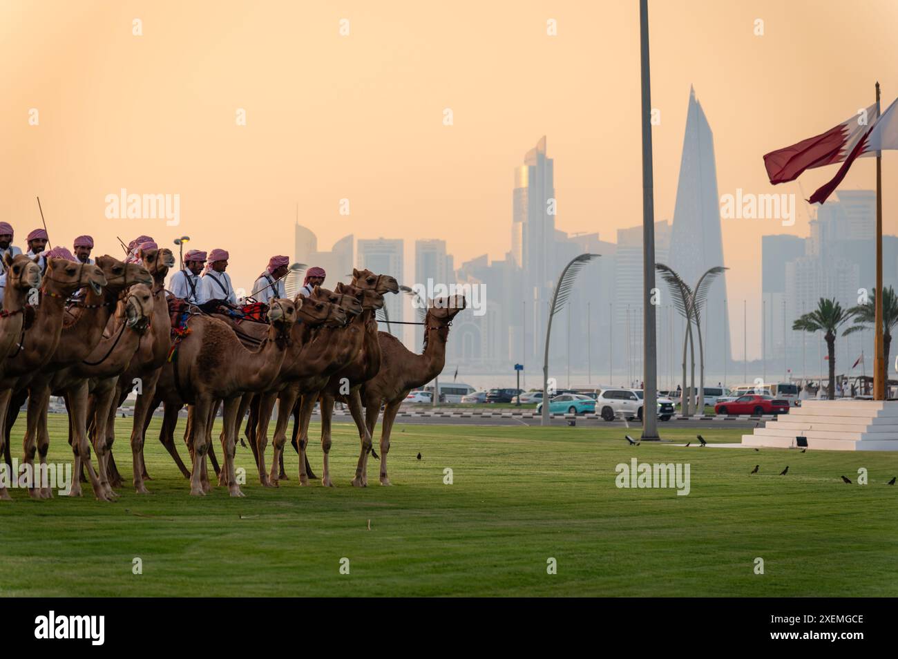 Soldaten auf Kamelen in Doha, Katar Stockfoto
