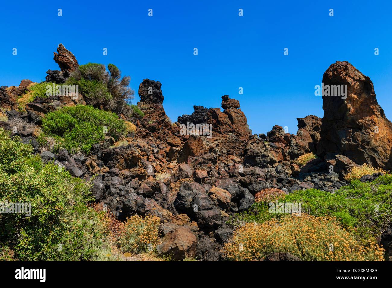 Felsiges Gelände und Vegetation vor einem hellblauen Himmel an einem sonnigen Tag auf der Insel Pantelleria; Pantelleria, Sizilien, Italien Stockfoto