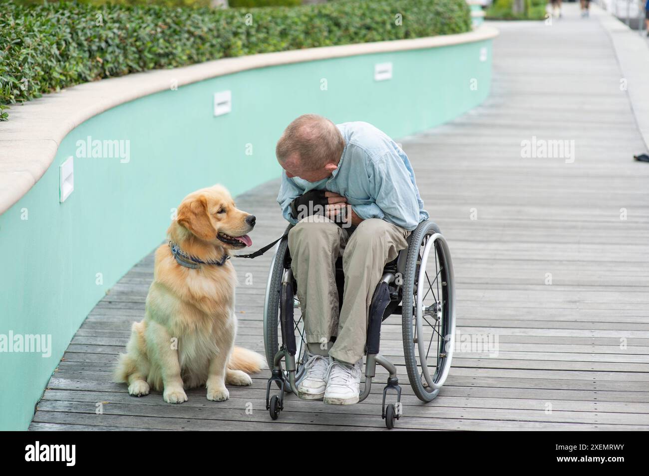 Mann im Rollstuhl mit seinem Diensthund auf einem Weg im Freien, Mann und Hund schauen sich von Angesicht zu Angesicht an Stockfoto