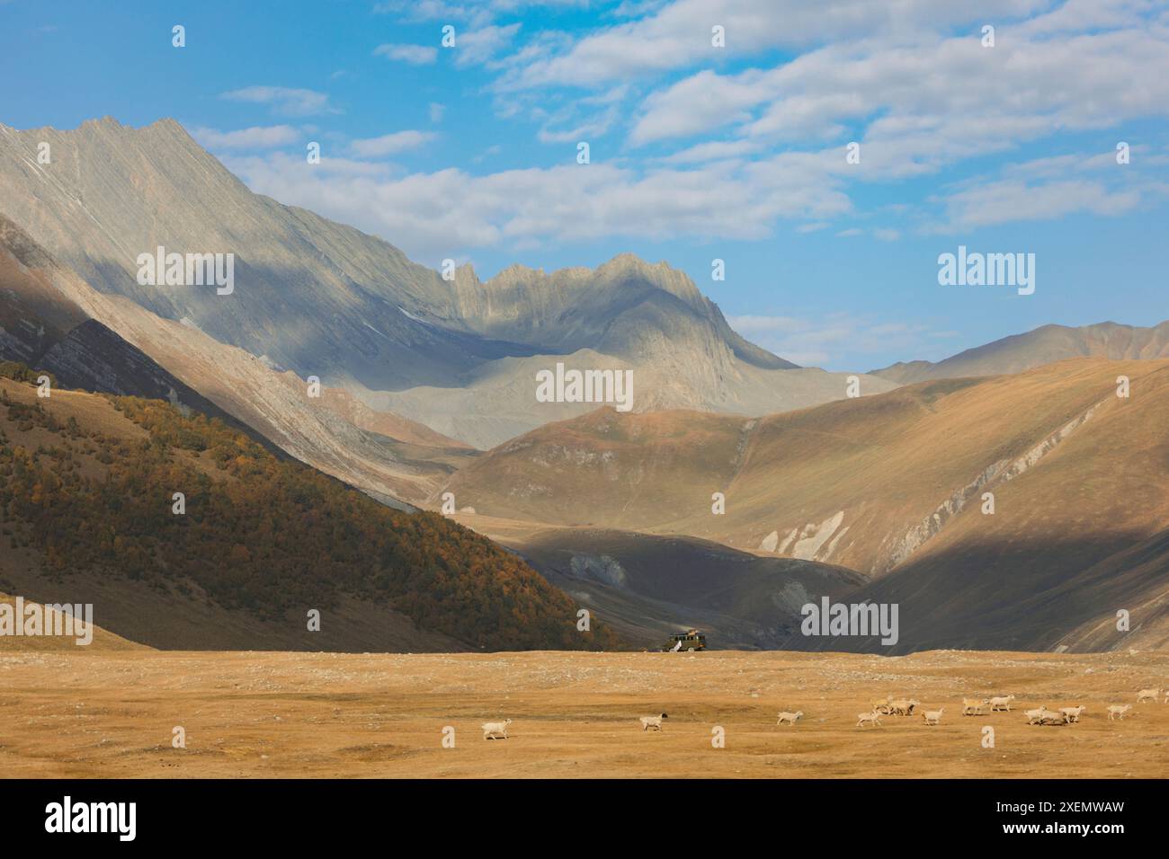 Riesige Berglandschaft der Truso-Schlucht mit einer Schafherde im Vordergrund; Kvemo Okrokana, Georgia Stockfoto