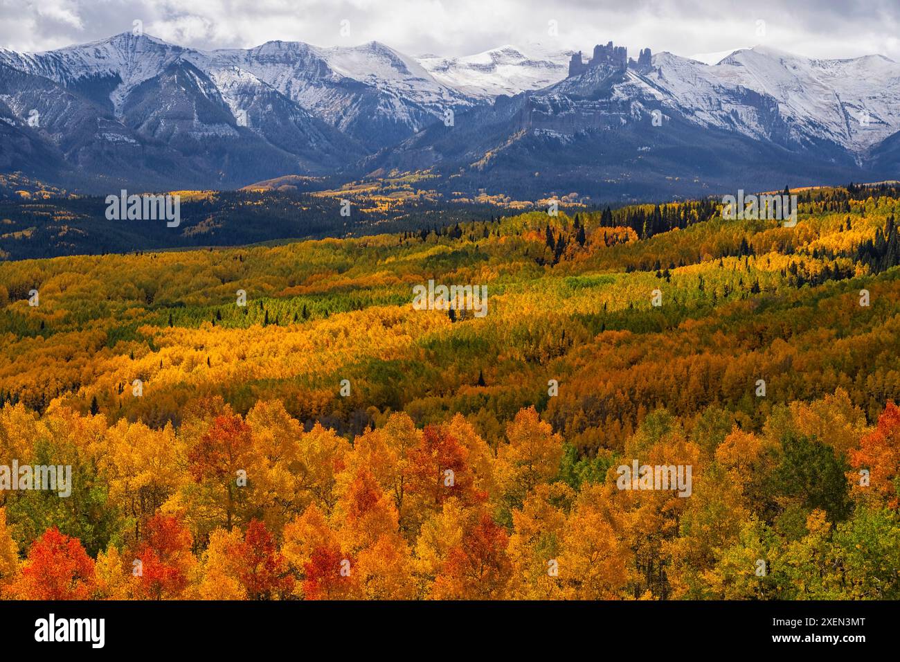 Aspen-Bäume färben sich im Herbst in Colorado in der Farbe einer Künstlerpalette. Die Farbe reicht so weit, wie das Auge sehen kann, in einer der schönsten Naturschönheiten... Stockfoto
