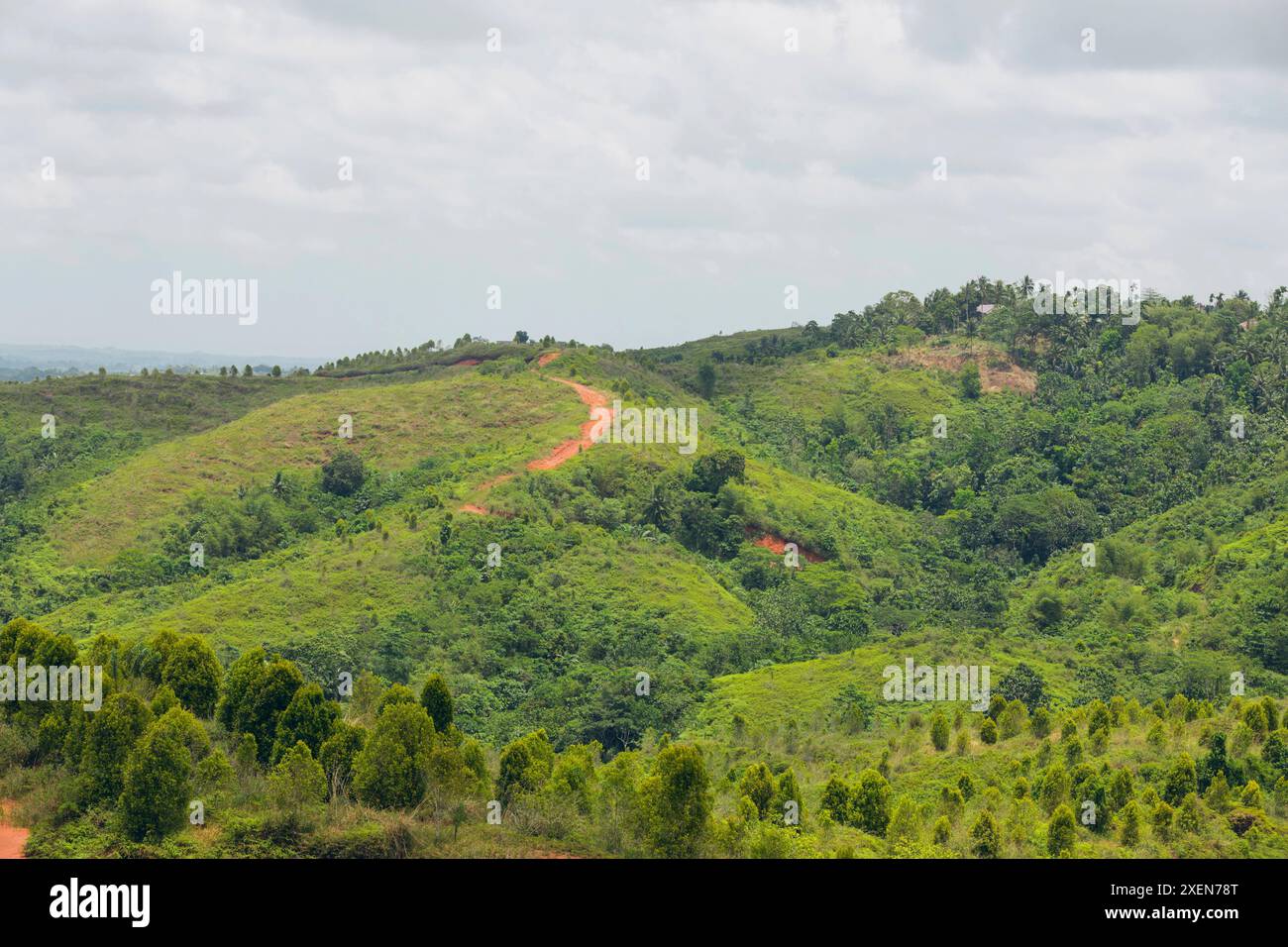 Unbefestigte Straße schlängelt sich durch die üppige hügelige Landschaft in West Sumba Regency, Indonesien; Sumba, kleine Sunda Inseln, Indonesien Stockfoto