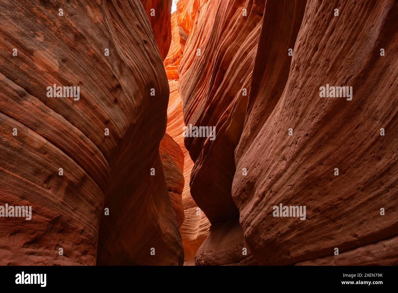 Nahaufnahme der engen Passagen in den roten Sandsteinklippen am Little Wild Horse Canyon Stockfoto