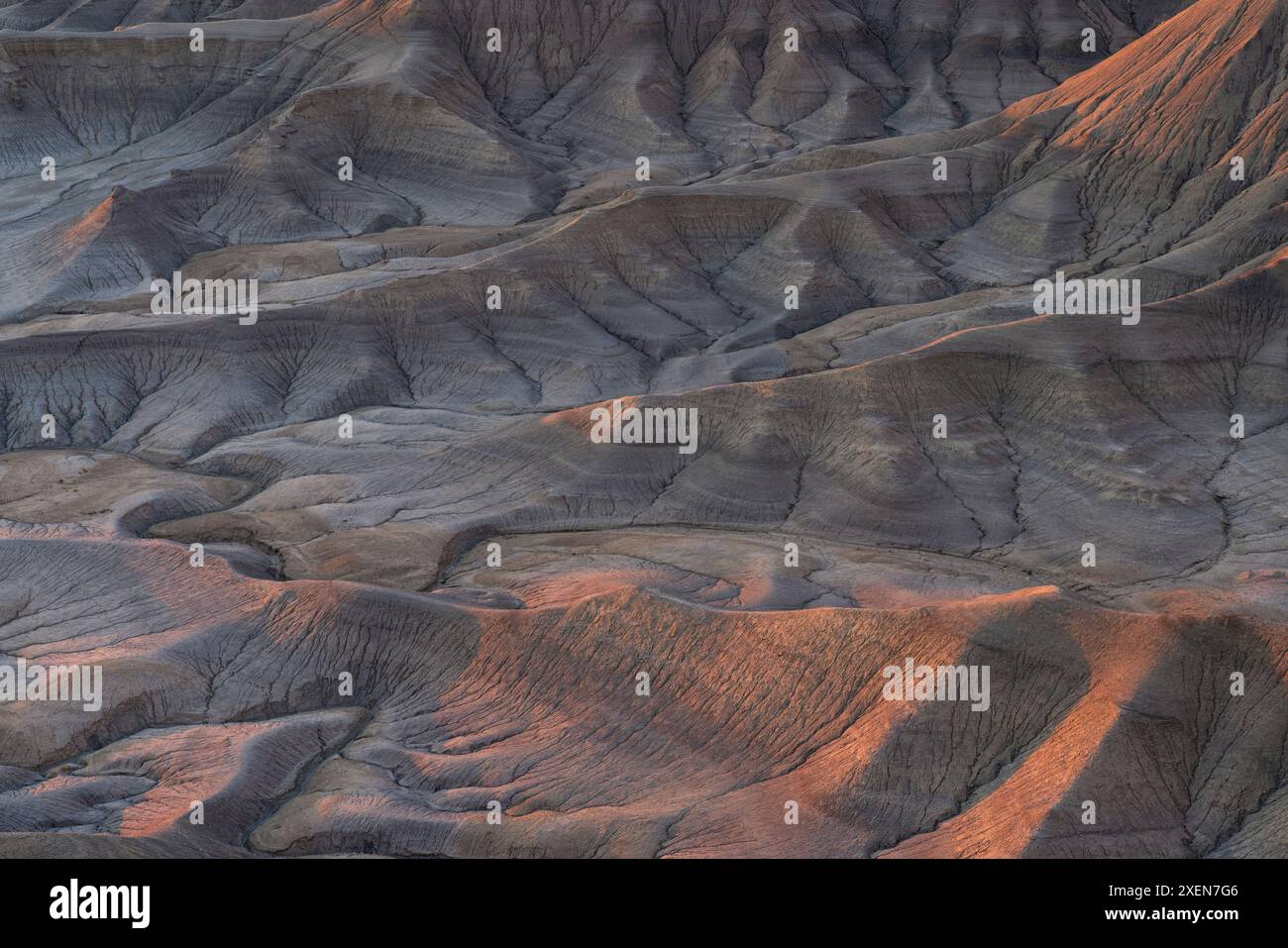 Das Licht am frühen Morgen wirft einen rosafarbenen Farbton auf die mondähnlichen Felsformationen am Moonscape Overlook im Blue Valley von Utah Stockfoto