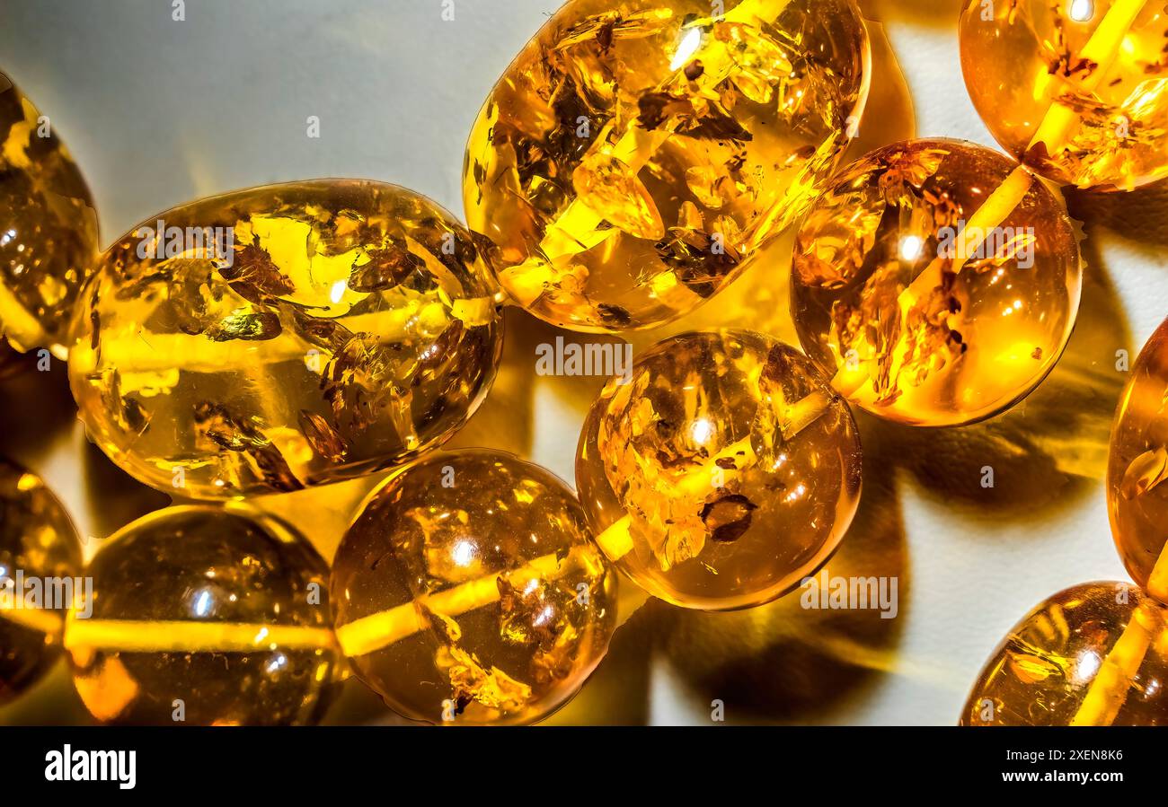 Farbenfroher goldener baltischer Bernstein, Danzig, Polen. Bernstein Hauptstadt der Welt. Bernstein 40 Millionen Jahre alt. Ich habe Danzig Strände 6000 Jahre gefunden. Pflanzenpollen in Stockfoto