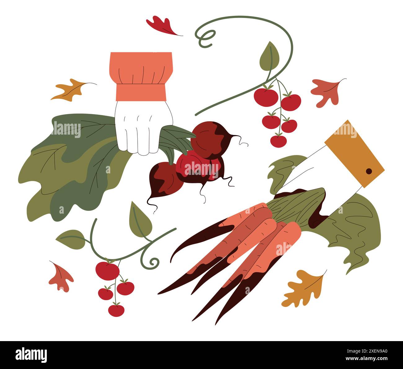 Erntesaison. Von Hand ernten oder sammeln reifes Gemüse, Karotten und Rüben. Herbstlandwirtschaft, Dorfförderung. Ländliche Gebiete ökologische Landwirtschaft. Illustration des flachen Vektors Stock Vektor