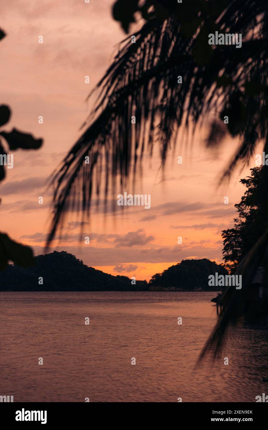 Der Sonnenuntergang wirft sanftes rosafarbenes Licht über Bolilanga auf den Togean-Inseln Indonesiens, mit Silhouetten von Palmweden im Vordergrund und Silhouetten... Stockfoto