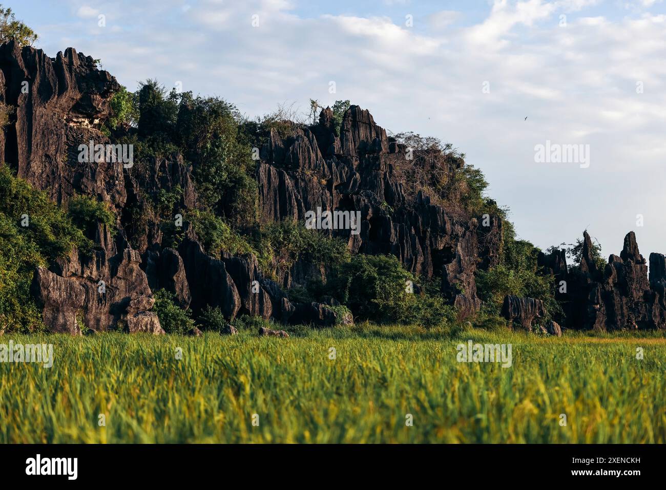 Karstberge und Reisfelder in Rammang-Rammang, Süd-Sulawesi, Indonesien; Rammang-Rammang, Bontoa, Maros Regency, Süd-Sulawesi, Indonesien Stockfoto