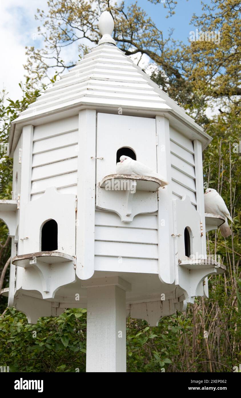 Dovecote, Lost Gardens of Helligan, Cornwall, Großbritannien Stockfoto