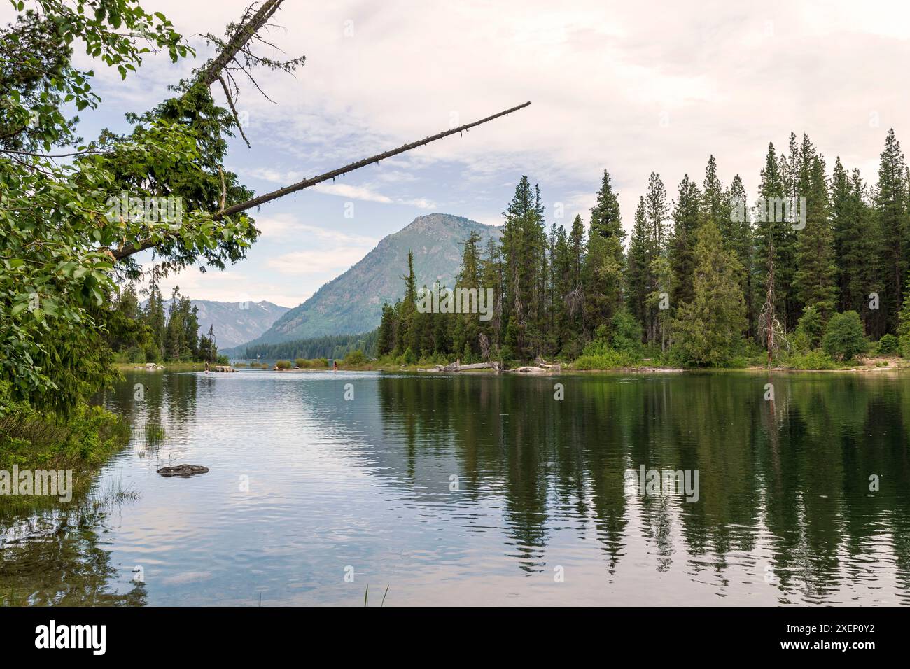 Ein horizontales Foto des Lake Wenatchee im Bundesstaat Washington, umgeben von immergrünen Bäumen und Cascade Mountains, die sich im ruhigen Seewasser spiegeln. Stockfoto