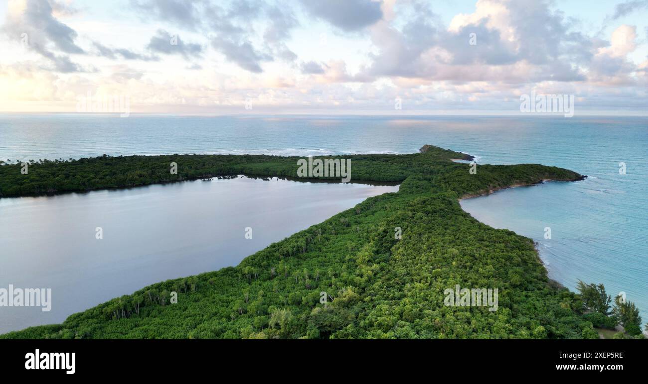 laguna grande Drone Blick (biolumineszierende Bucht fajardo puerto rico) Bio-lumineszierendes Kajak, Kanufahrt Tourismus (Reiseziel) el yunque Regenwald Stockfoto