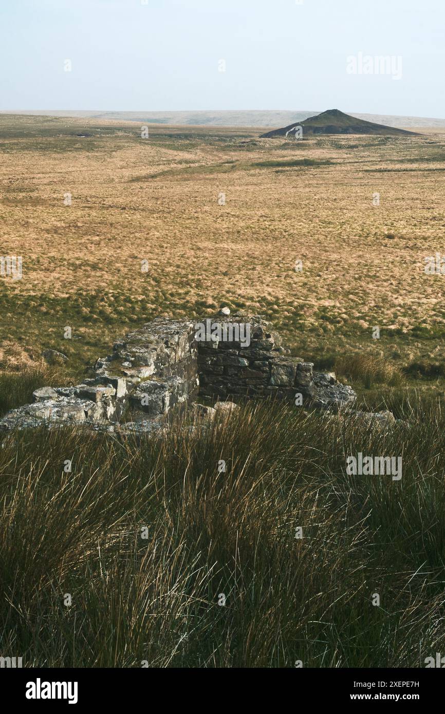 Weit entfernt von Bauflächen in Moorlandschaft, mit ruinierter Struktur im Vordergrund, Dartmoor Stockfoto