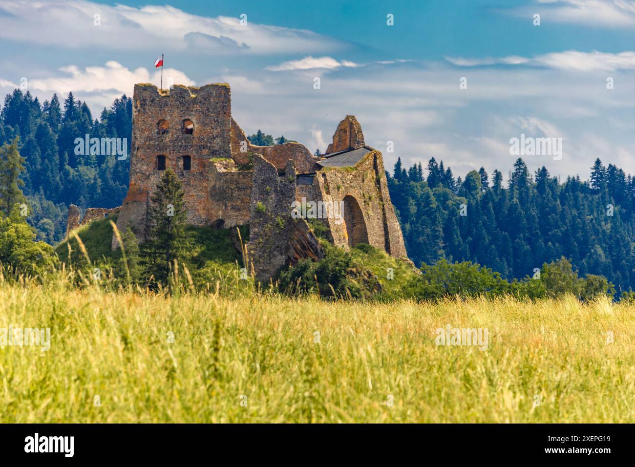 Restaurierte Ruinen der Burg in Czorsztyn am See, Touristenattraktion, Instagram-Platz in Polen Stockfoto