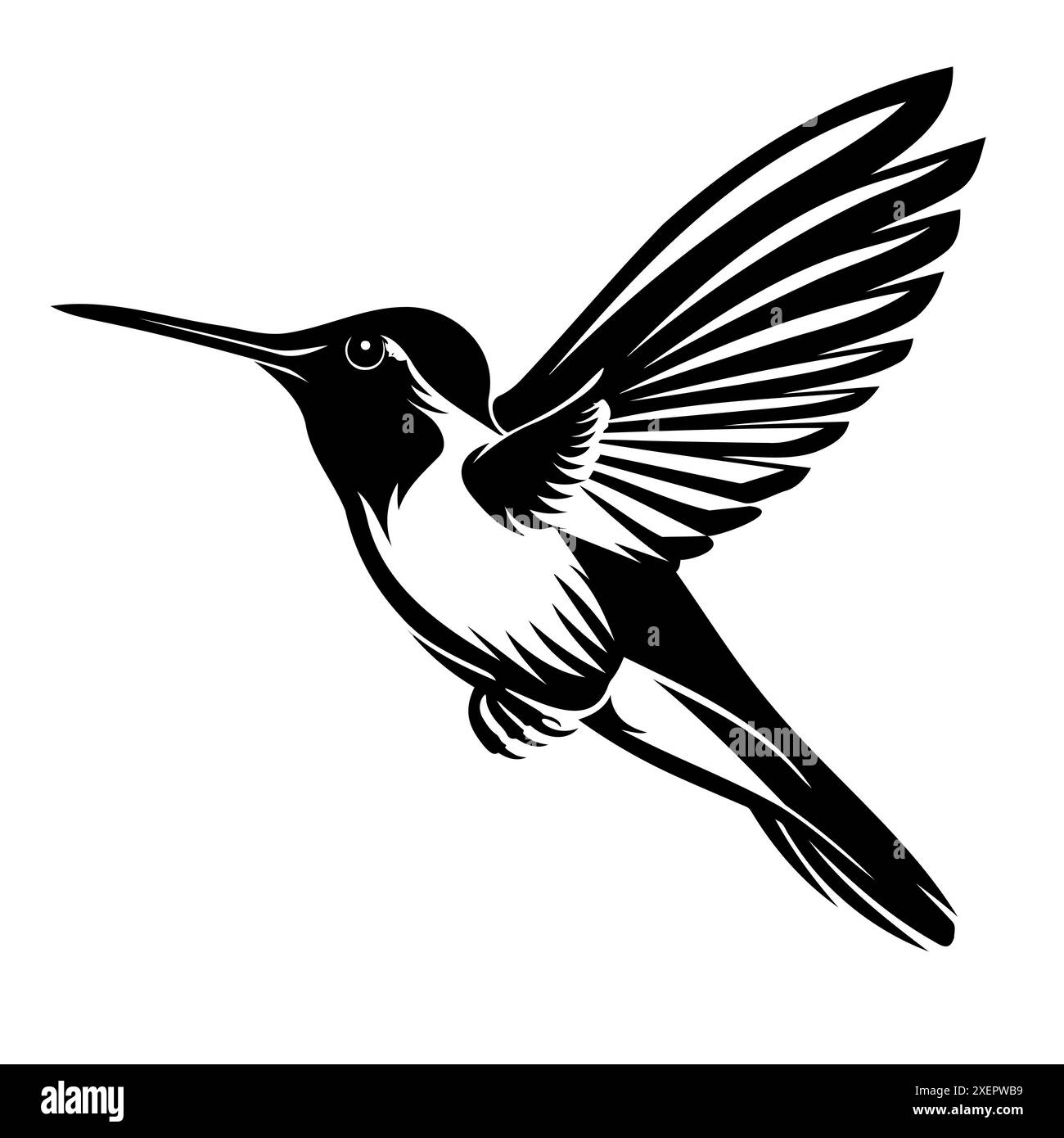 Kolibri in Flight Silhouette mit ausgestreckten Flügeln Stock Vektor