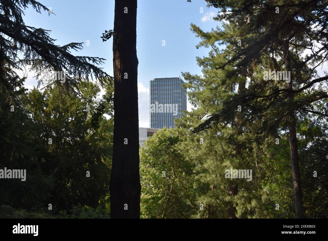 Blick auf den Garten der Pflanzen, das Naturkundemuseum, den Garten von Paris. Die Schönheit von Paris. Tourismus Paris. Der beste Garten in Paris Stockfoto