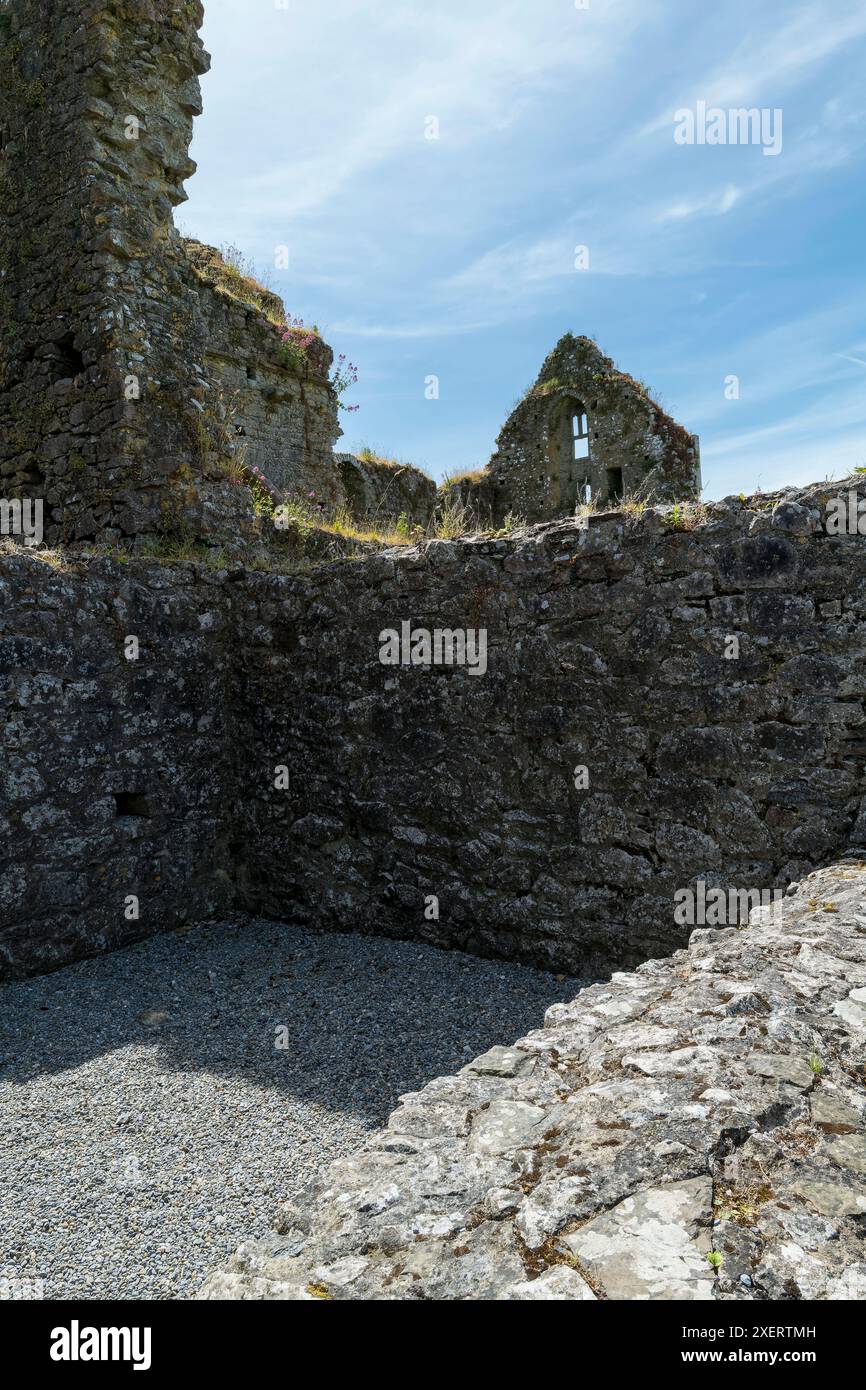 Hore Abbey ist ein ruiniertes Zisterzienserkloster in der Nähe des Rock of Cashel im County Tipperary, Irland. Stockfoto