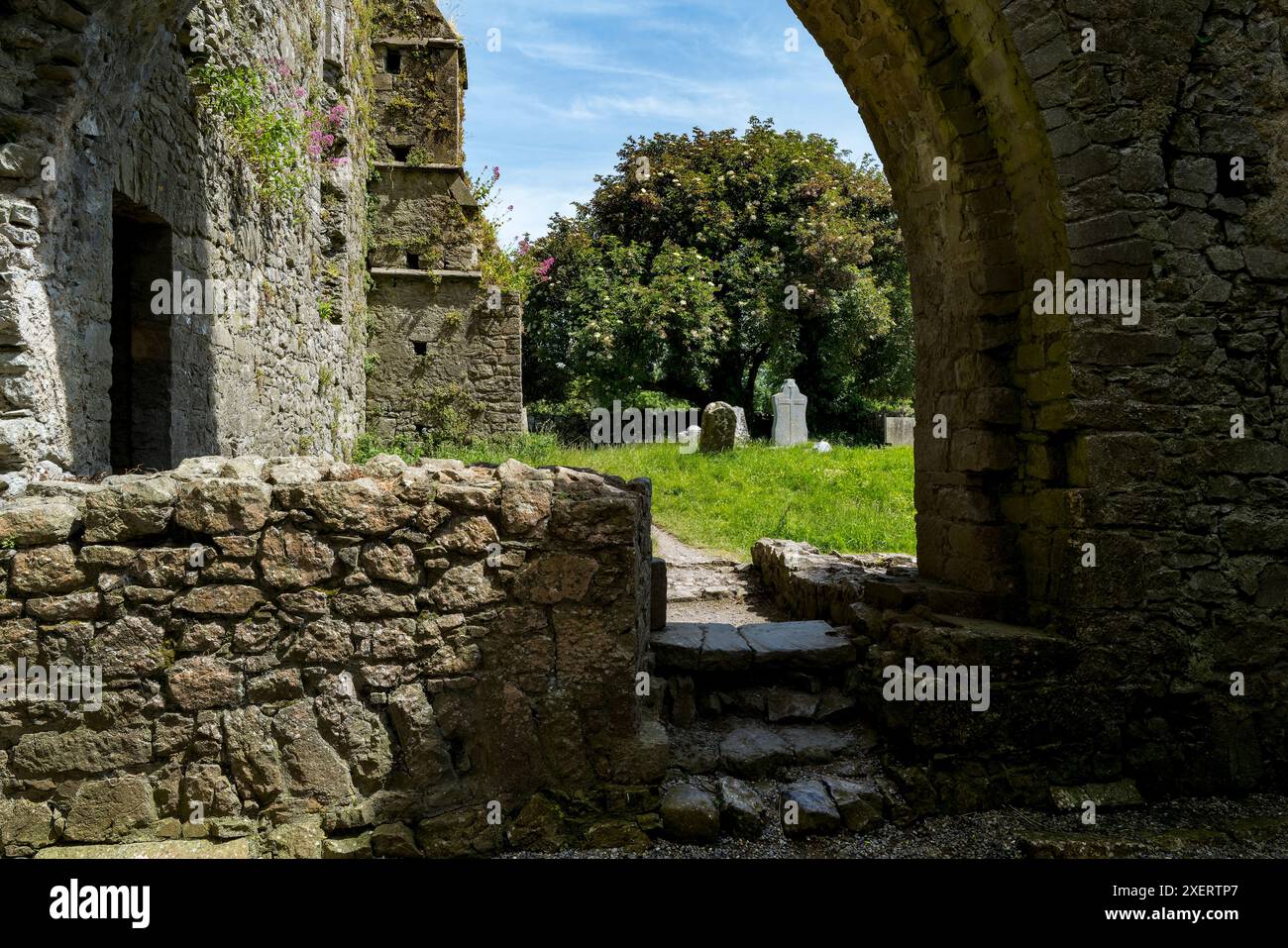 Hore Abbey ist ein ruiniertes Zisterzienserkloster in der Nähe des Rock of Cashel im County Tipperary, Irland. Stockfoto