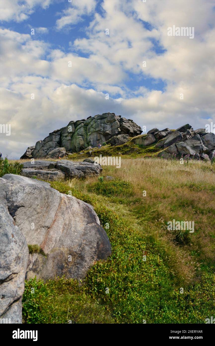 Grasland, erodierte Felsen und zerklüftete Felsformationen bilden Almscliffe Crag in North Rigton, Yorkshire, Großbritannien. Stockfoto