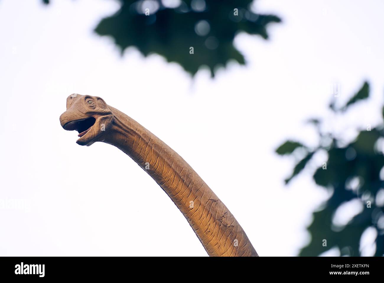 Der Kopf eines Brachiosaurus steht am Himmel. Der Sauropoden-Dinosaurier ist einer der größten und beliebtesten. Er lebte am Ende der Jurazeit. Mit einem Platz zum Kopieren. Hochwertige Fotos Stockfoto