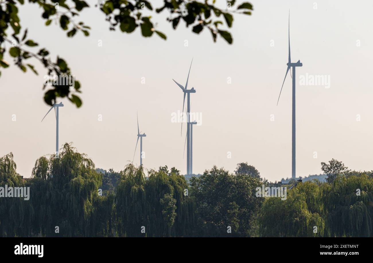 Windmühlenfarm. Landschaft auf dem Land an einem Augusttag. Stockfoto