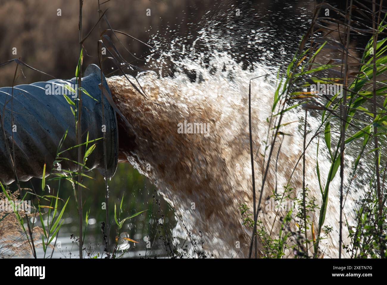 Aus einem großen Rohr austretendes Abwasser Stockfoto