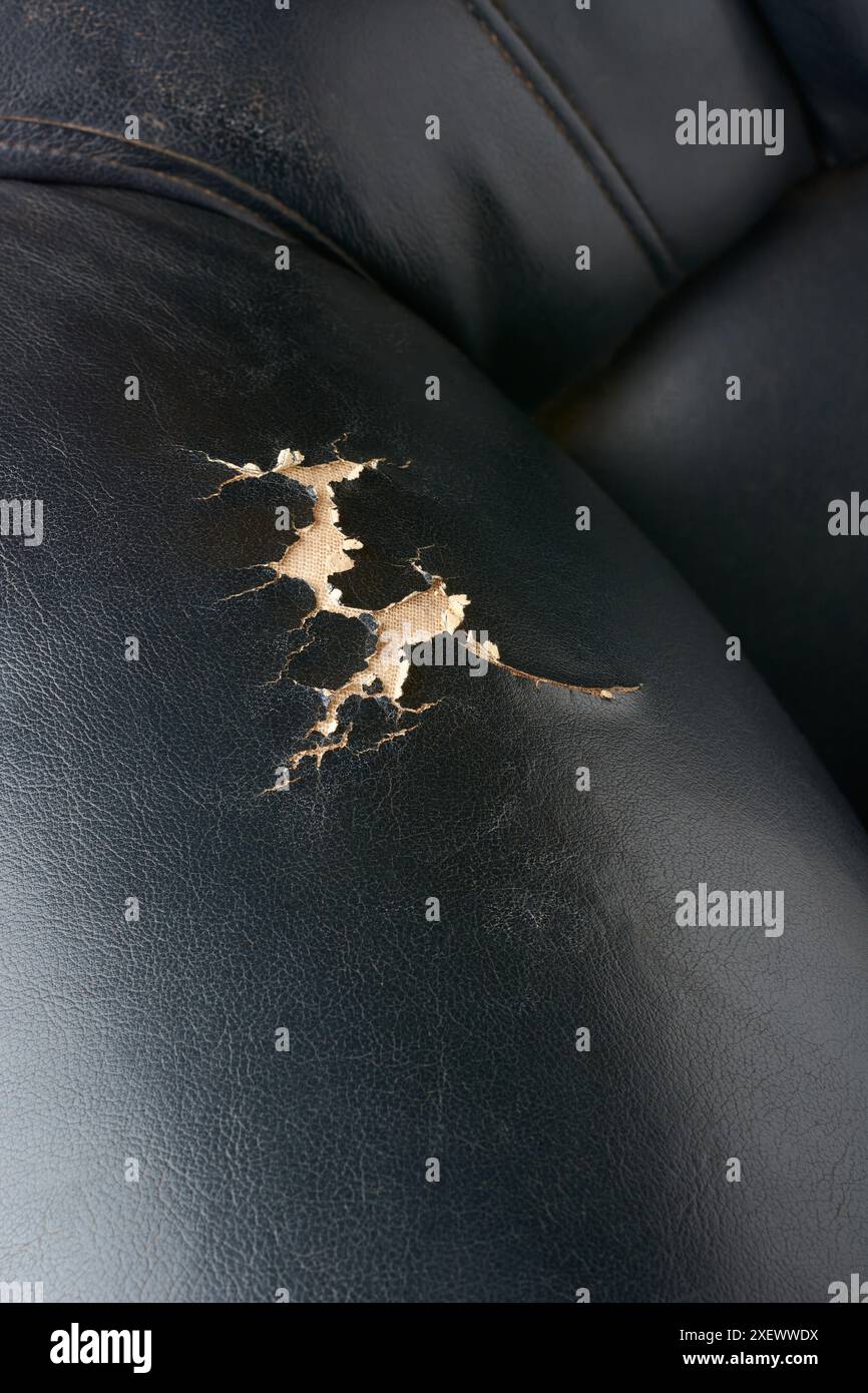 Beschädigte, abgerissene schwarze Ledersofas, abgenutzte, abgeschälte Möbeloberflächen, Reparaturkonzept, selektiver Fokus mit Kopierraum Stockfoto