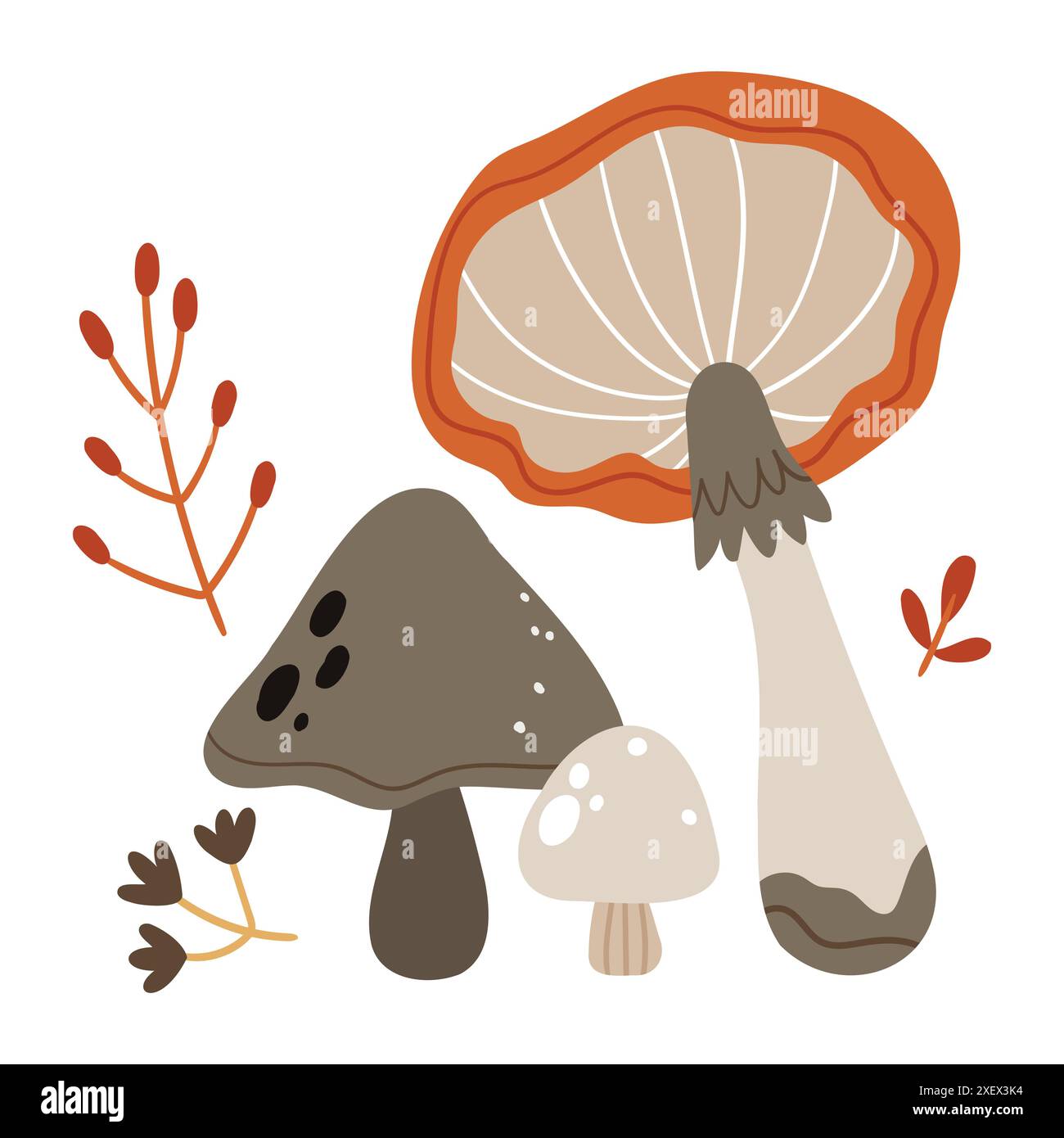 Pilzset. Herbstwaldpflanzen. Herbstnahrung, rohe gesunde natürliche Pilze, Stiele und Kappen verschiedener Art. Stock Vektor
