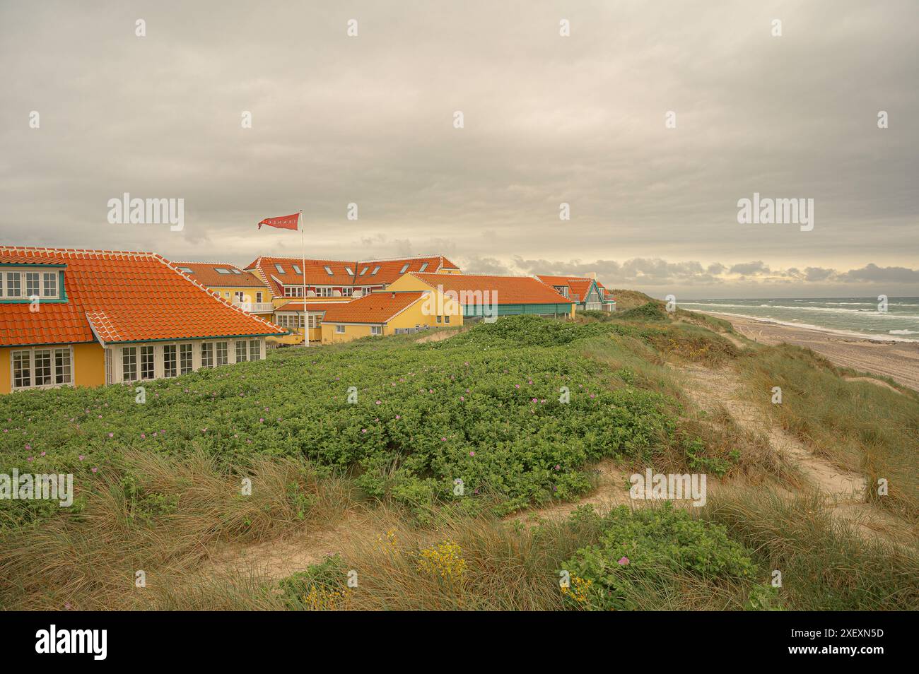 Apartment Hotel Traneklit in den Dünen in der Nähe des Meeres in Old Skagen, Dänemark, 25. Mai 2024 Stockfoto