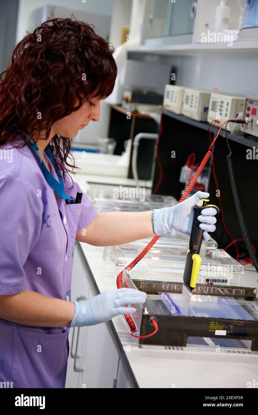 Mehrkanalpipette, Agarosegel-Elektrophorese, Neurowissenschaftliches Labor, Forschung in neuromuskulären Erkrankungen, neurodegenerativen Erkrankungen, parkinson, Demen Stockfoto