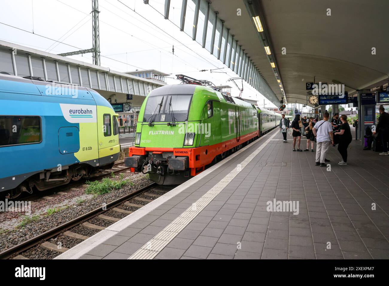 Münster Hauptbahnhof, Flixtrain. Linie FLX20 Hamburg - Köln. Flixtrain in Zusammenarbeit mit Hector Rail. Münster, Nordrhein-Westfalen, DEU, Deutschland, 21.05.2024 *** Münster Hauptbahnhof, Flixtrain Linie FLX20 Hamburg Köln Flixtrain in Kooperation mit Hector Rail Münster, Nordrhein-Westfalen, DEU, Deutschland, 21 05 2024 Stockfoto