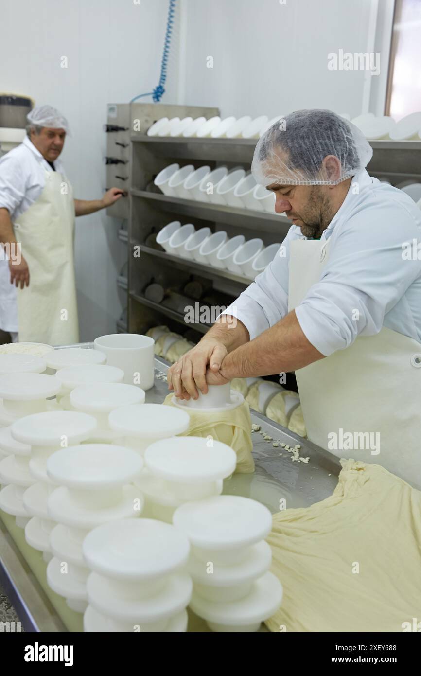 Herstellung von Käse aus Schafmilch Latxa Ursprungsbezeichnung ¥ Idiazabal Käsefabrik Gomiztegi Baserria, Arantzazu, OÒati, Gipuzkoa, Basque Count Stockfoto