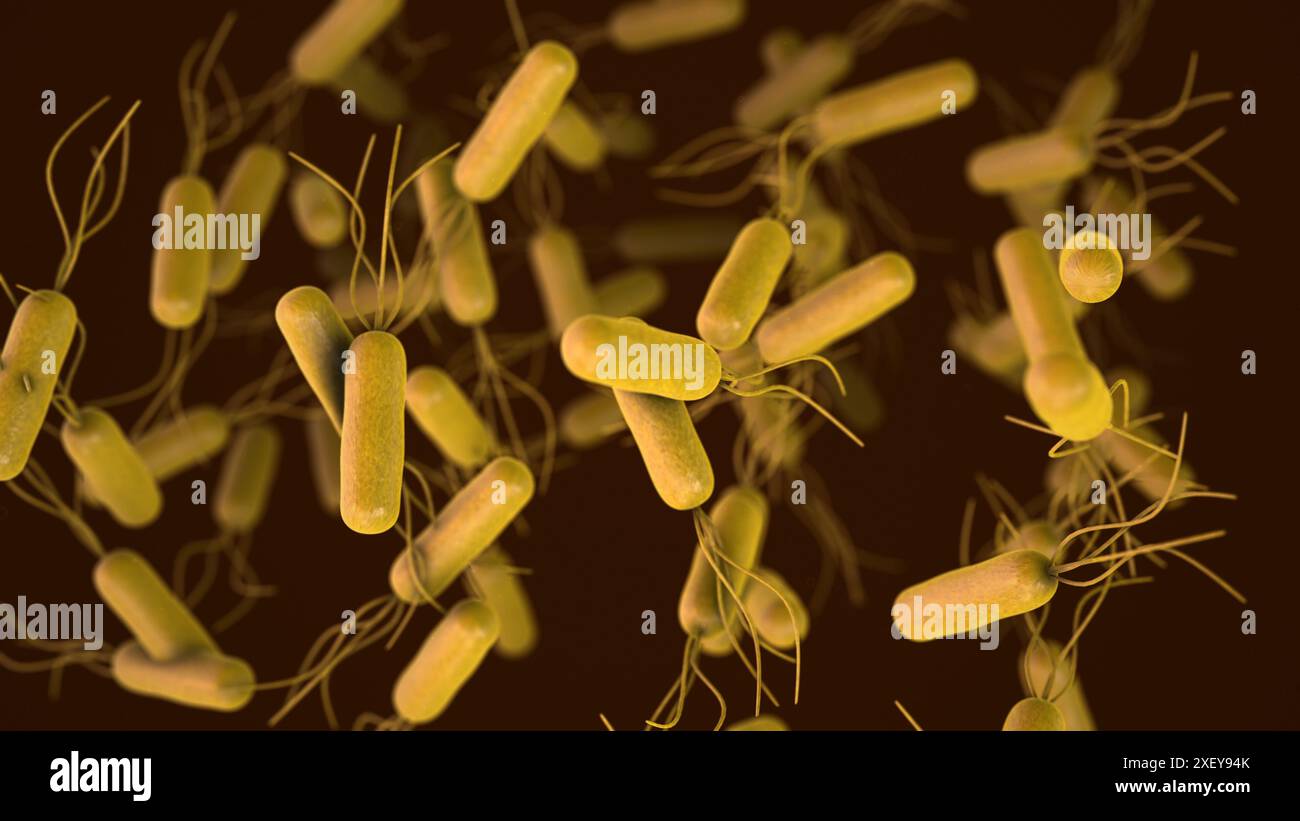 Animation des im menschlichen Magen schwimmenden Pylori-Virus Stockfoto