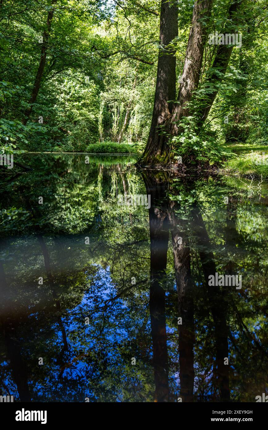 Ein kleiner Teich im Park des Barkenhoffs in Worpswede spiegelt Bäume und Himmel unter alten Baumstämmen an seinem Ufer wider. Der Barkenhoff war einst das Zentrum der Künstlerkolonie um Heinrich Vogeler. Worpswede, Niedersachsen, Deutschland. Stockfoto
